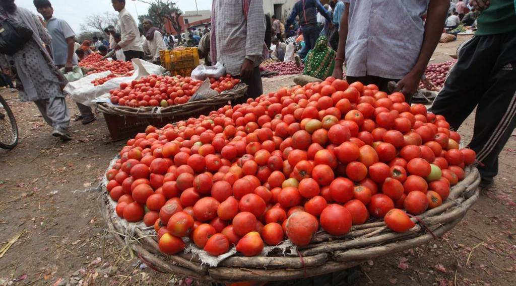rain surplus, tomatoes, karnataka, imd