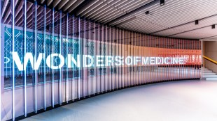 Novartis, Novartis Global, Novartis Institutes for Biomedical Research, health news, pharma news,