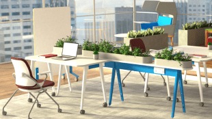 Redesigning the Workplace: A talent attraction magnet