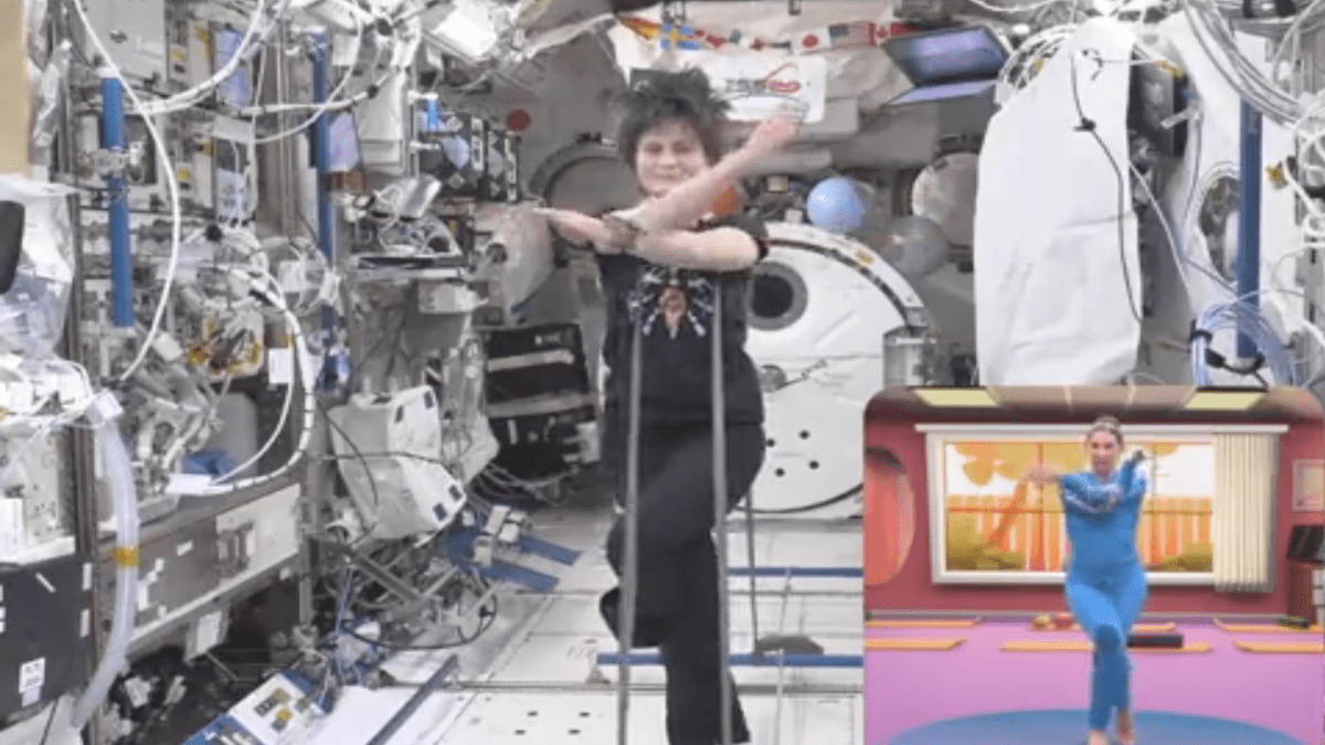 The commander is responsible for overseeing the various tasks performed by the station's crew members. The commander is responsible for overseeing the various tasks performed by the station's crew members.