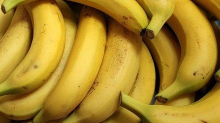 The startup, co-founded by Fariq Naushad and Previn Jacob, would seamlessly connect banana farmers, dealers, wholesalers and B2B buyers of the country, according to a company statement. The startup, co-founded by Fariq Naushad and Previn Jacob, would seamlessly connect banana farmers, dealers, wholesalers and B2B buyers of the country, according to a company statement.