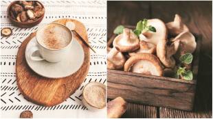 Magical mushroom, mushrooms, mushrooms cooking,