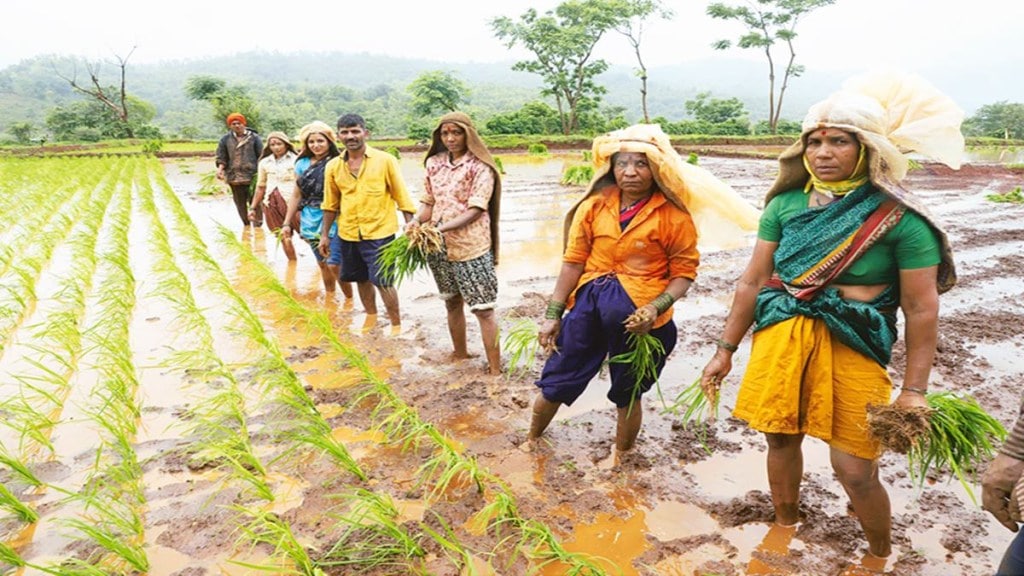PM Kisan, PM Kisan scheme, Pradhan Mantri Kisan Samman Nidhi