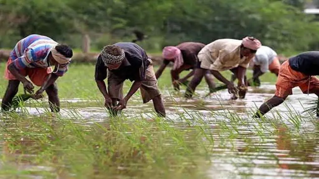 new cropping strategies, monsoon, kharif crop, pattern of southwest monsoon