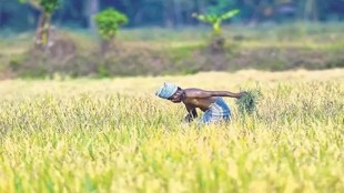 World Food Day, agriculture, malnutrition,