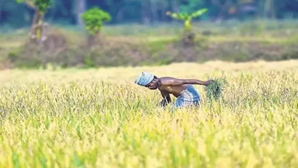 World Food Day, agriculture, malnutrition,