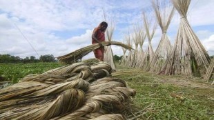 jute industry, msp