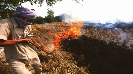 air quality, diwali pollution, air pollution, delhi air quality