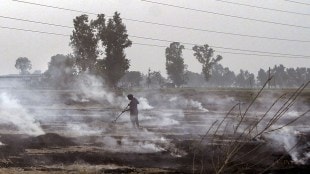A farmer burns stubble at his paddy field, in Jalandhar (PTI Image)