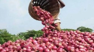 Onion, Onion price, Onion stock