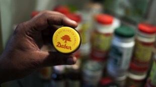 acquisition, stake, spices and seasoning, foods business, category, expansion, Dabur, transaction