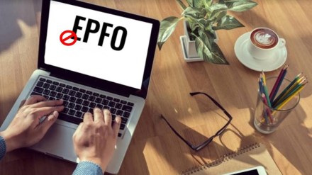 nomination, EPF, PF member portal, e-nomination, Aadhaar, Savings Bank Account, Fixed Deposit, FD, RD, EPF, PPF, MF, insurance nomination, EPF, PF member portal, e-nomination, Aadhaar, Savings Bank Account, Fixed Deposit, FD, RD, EPF, PPF, MF, insurance