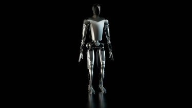 Tesla Bot