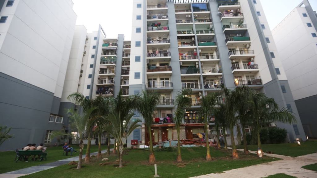 Anu Tyagi got into a fresh feud with fellow residents after she planted palm trees in the common garden in front of her apartment at Grand Omaxe society in Sector 93B, Noida on Tuesday. Express photo by Gajendra Yadav.