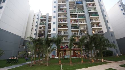 Anu Tyagi got into a fresh feud with fellow residents after she planted palm trees in the common garden in front of her apartment at Grand Omaxe society in Sector 93B, Noida on Tuesday. Express photo by Gajendra Yadav.