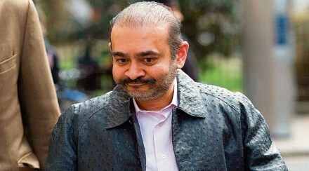 Nirav Modi, Nirav Modi news, Nirav Modi latest, Nirav Modi extradition news, PNB scam