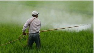 Pan-India roll-out of single-brand fertiliser policy by year-end