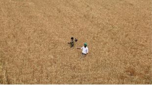 Soaring gas prices to bloat fertiliser subsidy by Rs 40,000 cr (1)