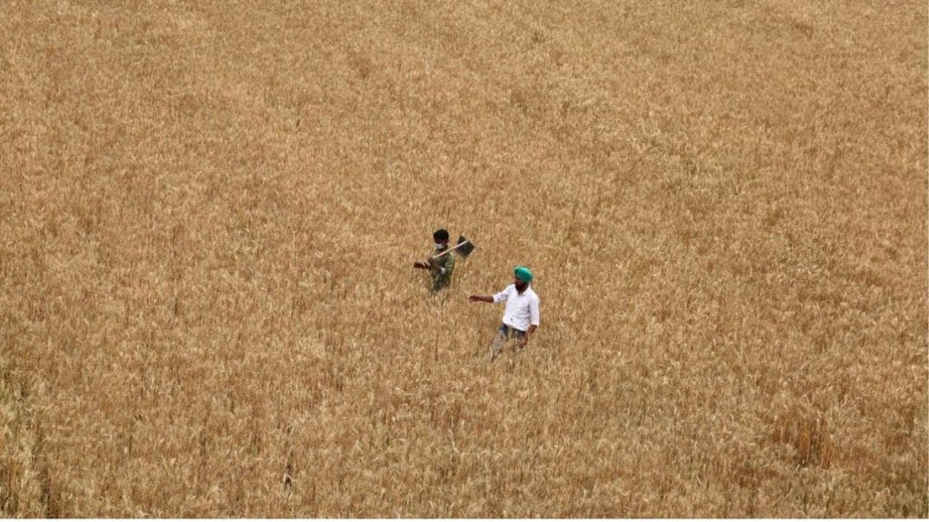 Soaring gas prices to bloat fertiliser subsidy by Rs 40,000 cr (1) Soaring gas prices to bloat fertiliser subsidy by Rs 40,000 cr (1)