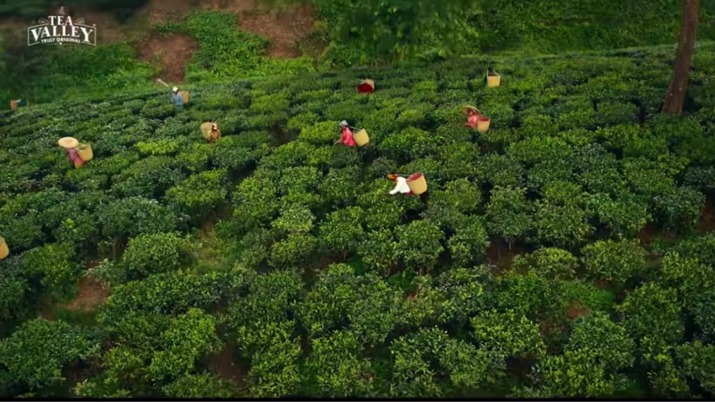 As per the company, Singh evokes the reminiscence of the tea brand anthem, Tea Valley