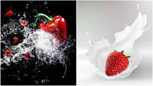 Vegetarian, Vegan, Food Ethics Council, Pescatarian, Lacto Ovo-vegetarian, Lacto-vegetarian, Ovo-vegetarian, Jasmine Bharucha, Katharos Foods