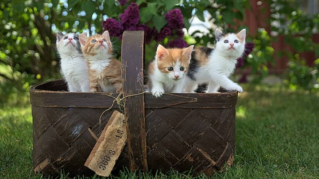 healthcare revolution, health news, pharma news,