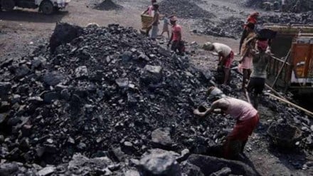 coal, india