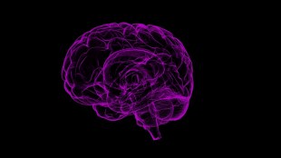snake venom, alzheimer's disease, parkinson's disease, healthcare news,