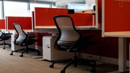 employment, jobs employment, jobs