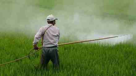 At present, fertiliser retail shops in the country are company managed, cooperative shops or retailed to private dealers.