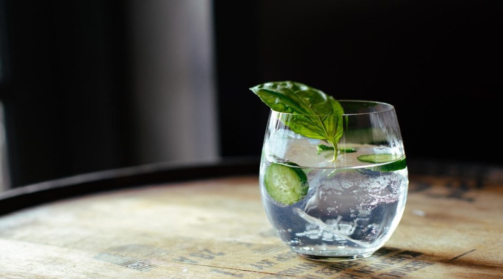 gin, gin and tonic, best gin, gin recipe