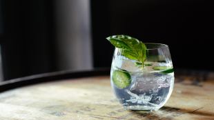 gin, gin and tonic, best gin, gin recipe