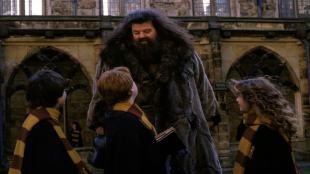 Robbie Coltrane, Harry Potter Actor Who Played Hagrid, Dies