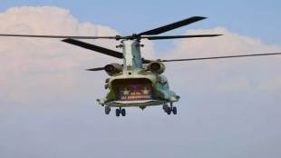 iaf day