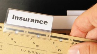 insurance, life insurance, term life insurance, endowment insurance plans, financial risk management, wealth accumulation products, Participating Life Insurance Plans, non-participating life insurance plans