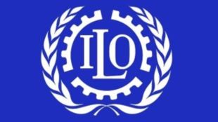 labour market trends 2022, global labour market trends 2022, ilo report on unemployment in india 2022,
