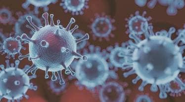 Pfizer, Paxlovid, long COVID, coronavirus pandemic, health news, pharma news,