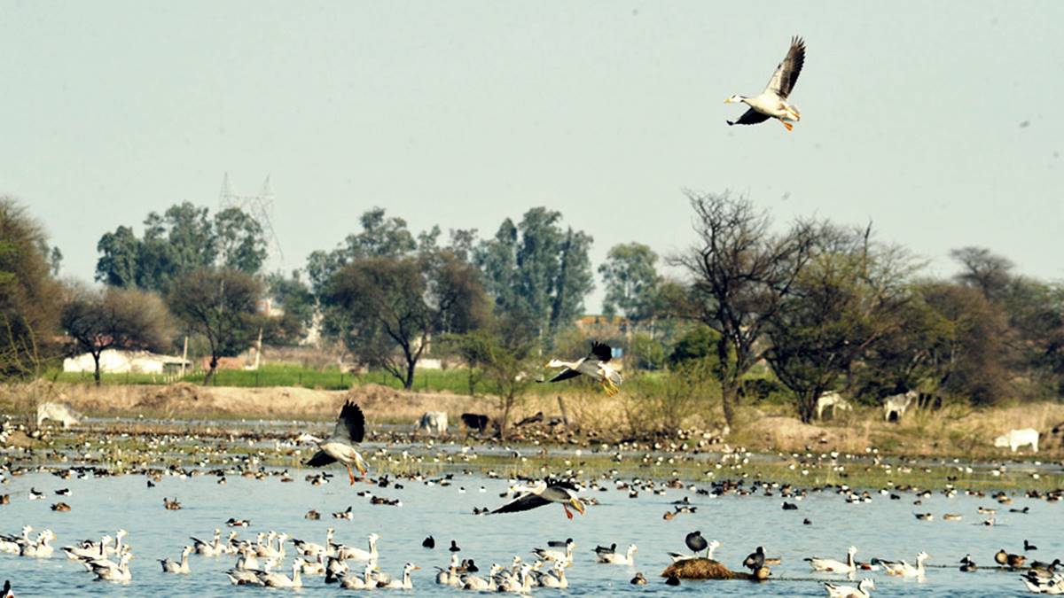 world's largest safari park, Gurugram, Aravalli range, Delhi NCR