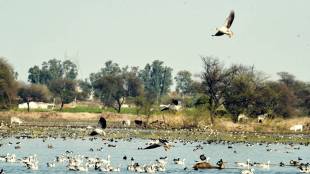 world's largest safari park, Gurugram, Aravalli range, Delhi NCR