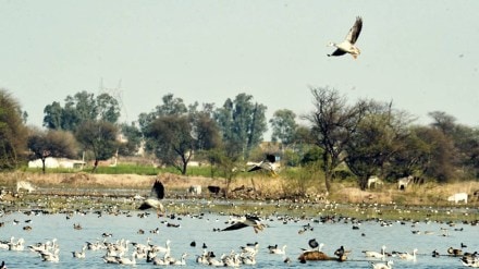 world's largest safari park, Gurugram, Aravalli range, Delhi NCR world's largest safari park, Gurugram, Aravalli range, Delhi NCR