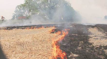 stubble burning pic