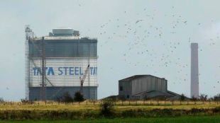 tata steel, second quarter results, tata, net profit, Neelachal Ispat Nigam Limited