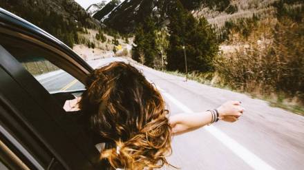 India to soon get world’s largest safari park, to cover 10,000 acres near Delhi NCR India to soon get world’s largest safari park, to cover 10,000 acres near Delhi NCR