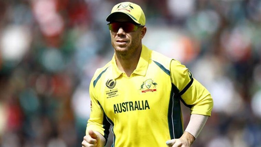 David Warner' (File photo: IE)