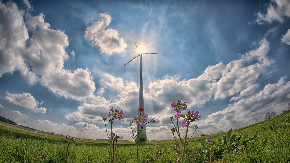2022 Review: Key steps taken to promote use of green fuel in India 2022 Review: Key steps taken to promote use of green fuel in India
