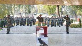 RIP Zoom -Canine soldier of the Army succumbs to his injuries