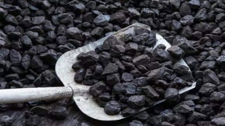 "However, for India, coal, being an affordable source of energy, holds prime importance for meeting its energy needs being fuelled by rising economy," he said.