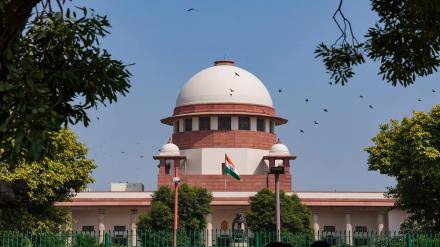 supreme court, lower court