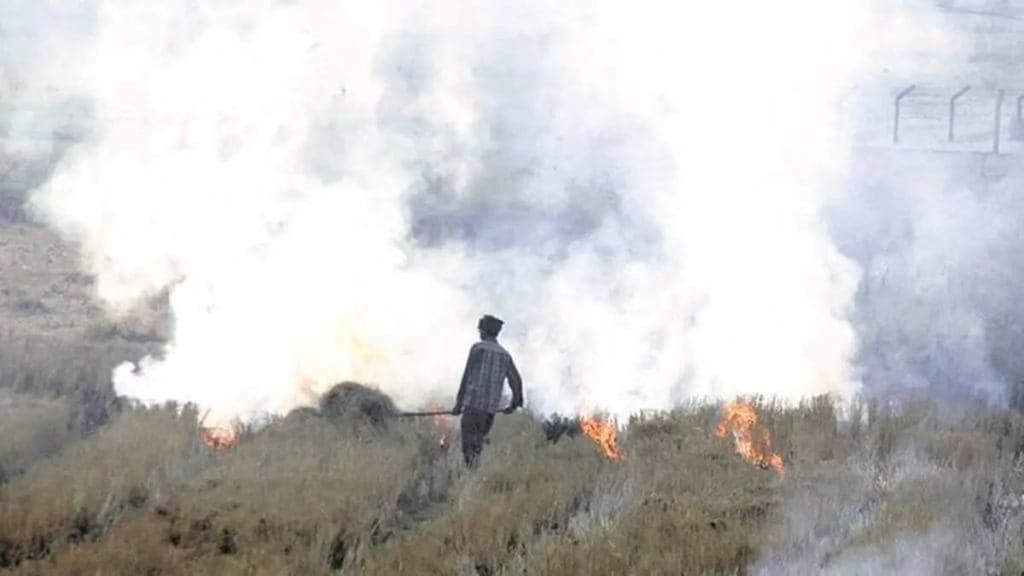 Haryana and Punjab, meanwhile, have reported 86% of the total 50,688 incidents of stubble burning in the current season in northern India. (Representative image)