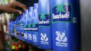 Marico, Marico food business, Marico revenue